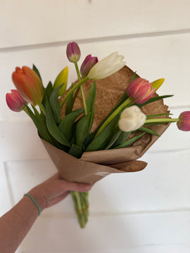 Local Tulips