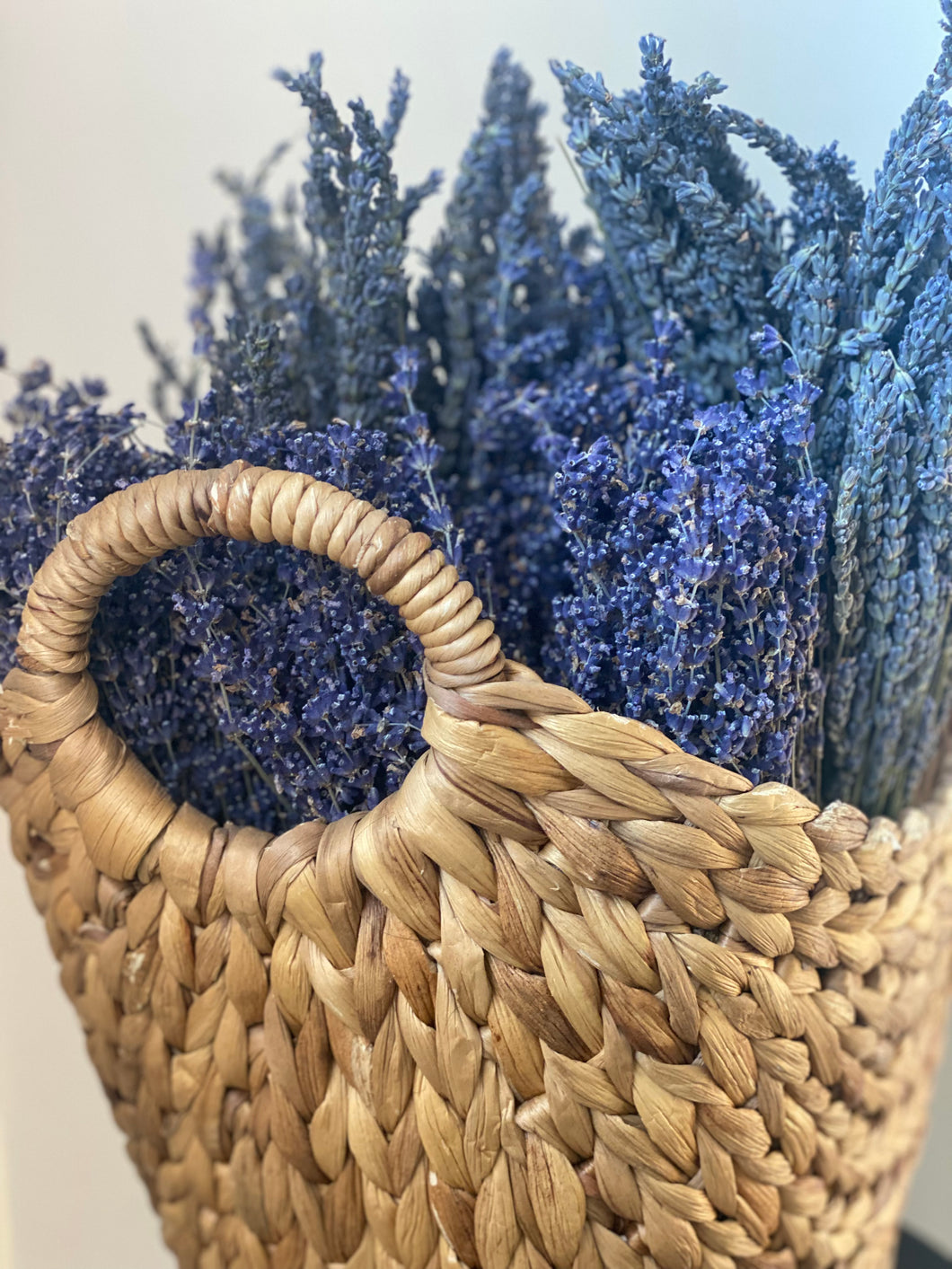 Dried Lavender bundle